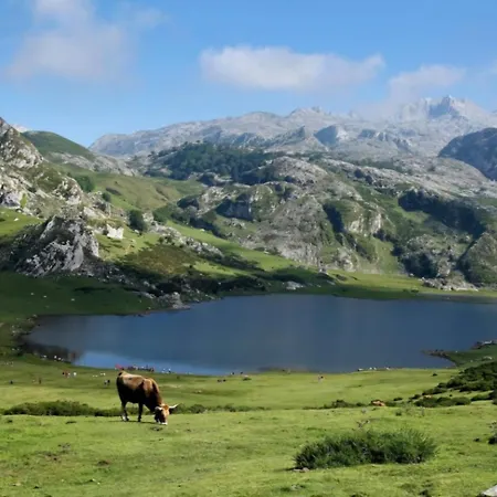 Mi Cachito De Asturias Semesterbostad